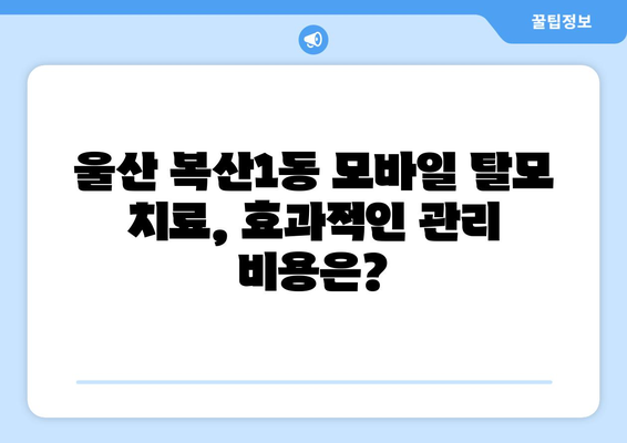 울산시 중구 복산1동 모바일식 탈모치료 잘하는곳 두피관리 추천 베스트 헤어라인 정수리 비용 후기