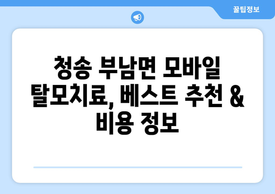 경상북도 청송군 부남면 모바일식 탈모치료 잘하는곳 두피관리 추천 베스트 헤어라인 정수리 비용 후기