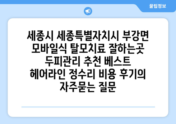 세종시 세종특별자치시 부강면 모바일식 탈모치료 잘하는곳 두피관리 추천 베스트 헤어라인 정수리 비용 후기