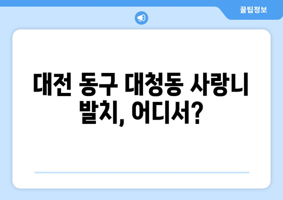 대전시 동구 대청동 사랑니 치과 매복 발치 잘하는 곳 비용 | 후기 | 추천