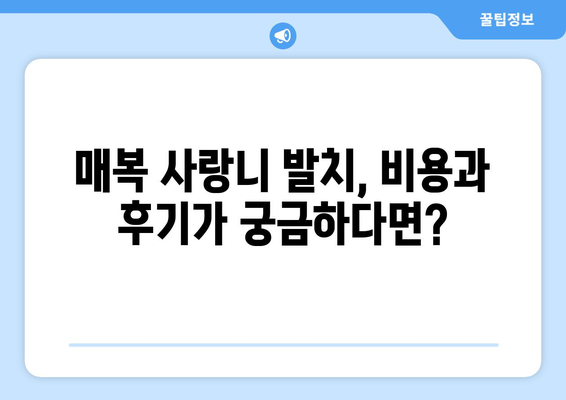 서울시 은평구 신사제2동 사랑니 치과 매복 발치 잘하는 곳 비용 | 후기 | 추천