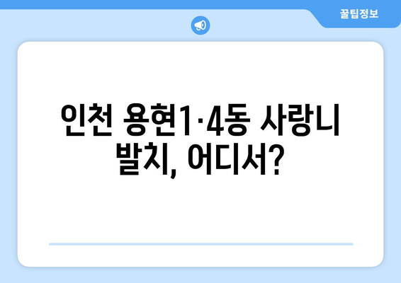 인천시 미추홀구 용현1·4동 사랑니 치과 매복 발치 잘하는 곳 비용 | 후기 | 추천