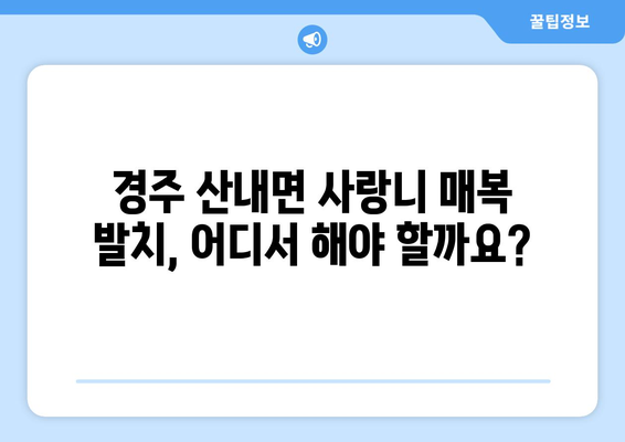 경상북도 경주시 산내면 사랑니 치과 매복 발치 잘하는 곳 비용 | 후기 | 추천