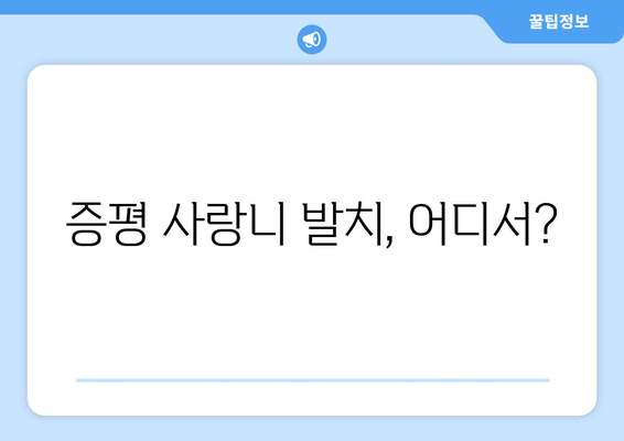 충청북도 증평군 증평읍 사랑니 치과 매복 발치 잘하는 곳 비용 | 후기 | 추천