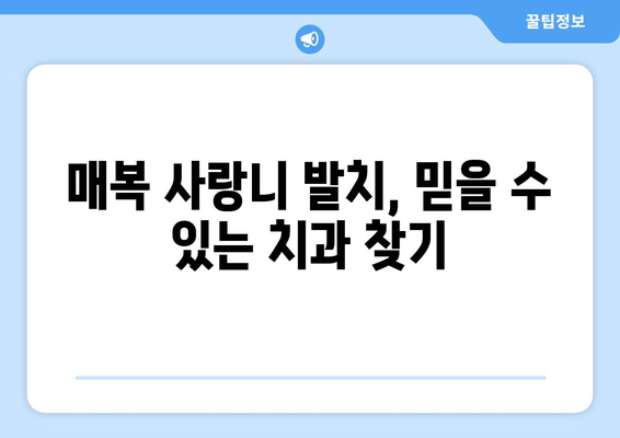 광주시 남구 양림동 사랑니 치과 매복 발치 잘하는 곳 비용 | 후기 | 추천