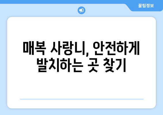 부산시 서구 남부민1동 사랑니 치과 매복 발치 잘하는 곳 비용 | 후기 | 추천