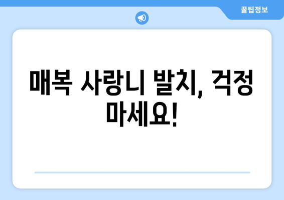 충청북도 청주시 흥덕구 봉명1동 사랑니 치과 매복 발치 잘하는 곳 비용 | 후기 | 추천