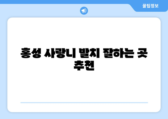 충청남도 홍성군 홍성읍 사랑니 치과 매복 발치 잘하는 곳 비용 | 후기 | 추천