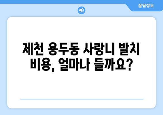 충청북도 제천시 용두동 사랑니 치과 매복 발치 잘하는 곳 비용 | 후기 | 추천