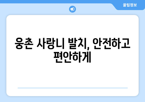 울산시 울주군 웅촌면 사랑니 치과 매복 발치 잘하는 곳 비용 | 후기 | 추천