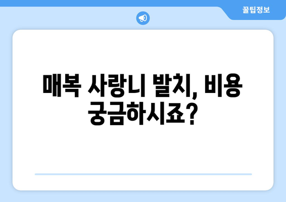 충청북도 충주시 앙성면 사랑니 치과 매복 발치 잘하는 곳 비용 | 후기 | 추천