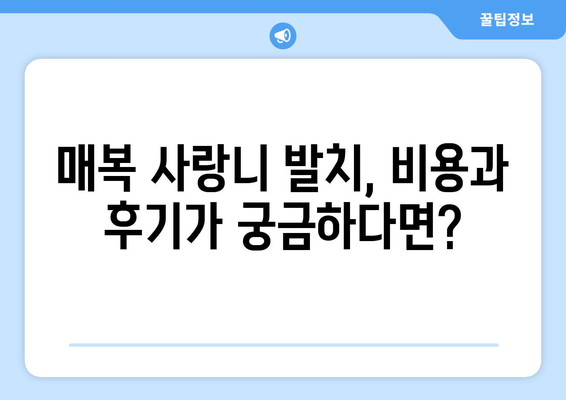 경상남도 산청군 신등면 사랑니 치과 매복 발치 잘하는 곳 비용 | 후기 | 추천