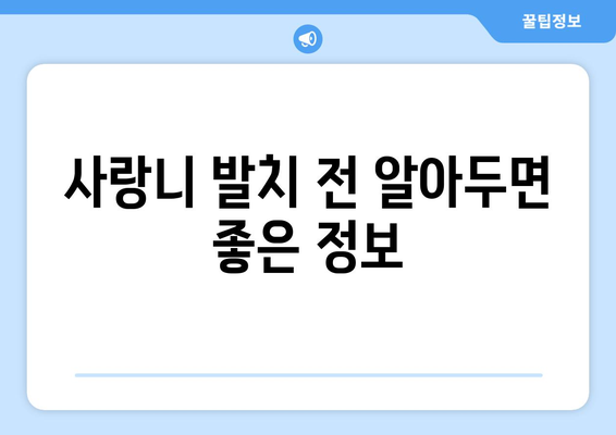 충청남도 예산군 응봉면 사랑니 치과 매복 발치 잘하는 곳 비용 | 후기 | 추천