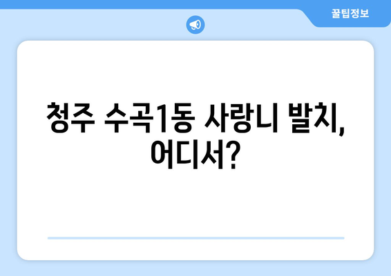 충청북도 청주시 서원구 수곡1동 사랑니 치과 매복 발치 잘하는 곳 비용 | 후기 | 추천