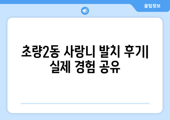 부산시 동구 초량2동 사랑니 치과 매복 발치 잘하는 곳 비용 | 후기 | 추천