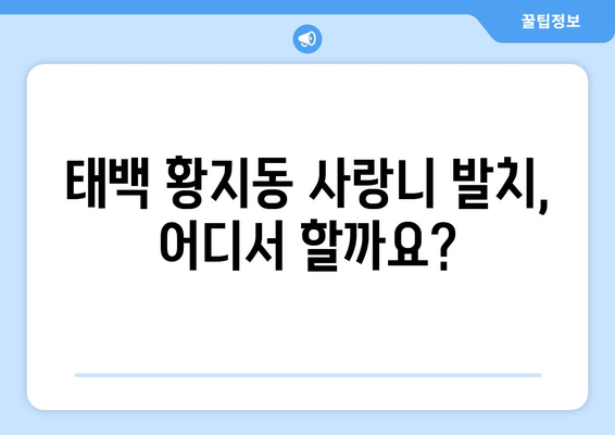 강원도 태백시 황지동 사랑니 치과 매복 발치 잘하는 곳 비용 | 후기 | 추천