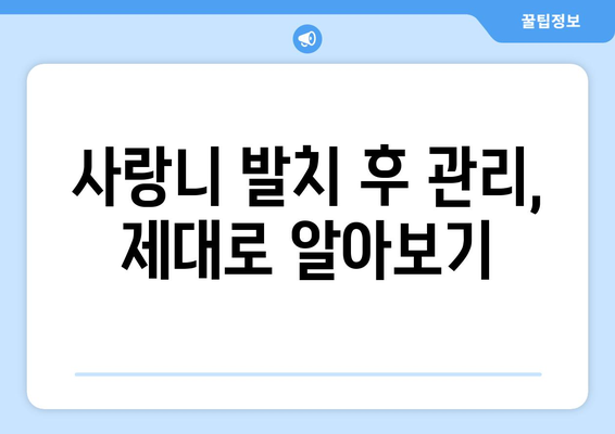 제주도 제주시 애월읍 사랑니 치과 매복 발치 잘하는 곳 비용 | 후기 | 추천