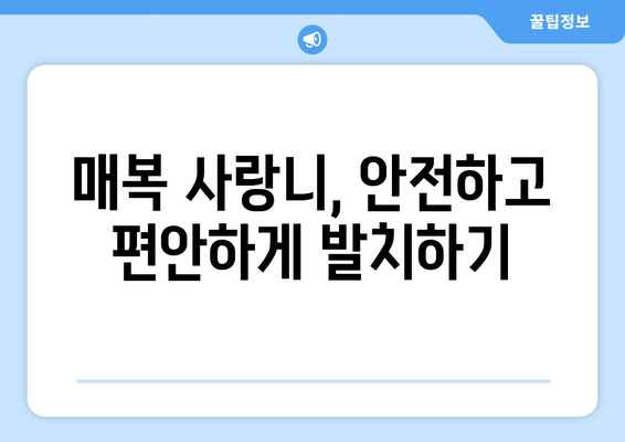 대전시 동구 대청동 사랑니 치과 매복 발치 잘하는 곳 비용 | 후기 | 추천