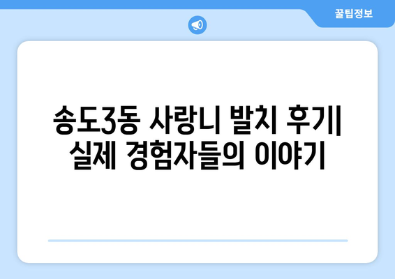 인천시 연수구 송도3동 사랑니 치과 매복 발치 잘하는 곳 비용 | 후기 | 추천