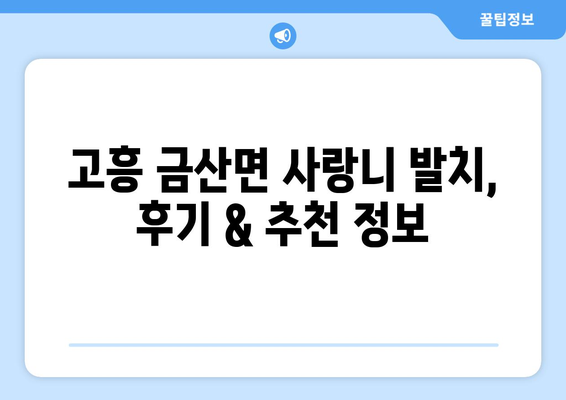 전라남도 고흥군 금산면 사랑니 치과 매복 발치 잘하는 곳 비용 | 후기 | 추천