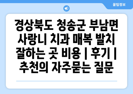 경상북도 청송군 부남면 사랑니 치과 매복 발치 잘하는 곳 비용 | 후기 | 추천