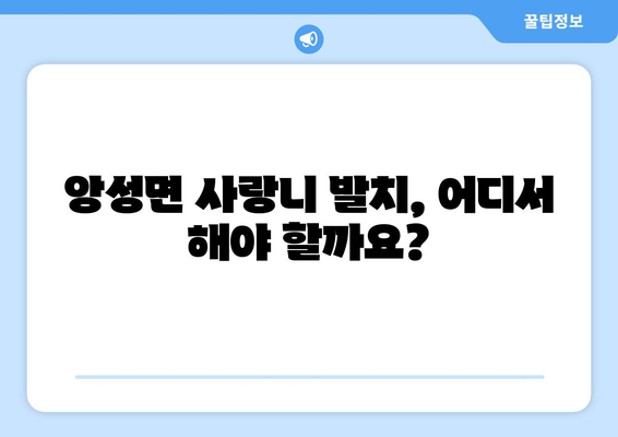 충청북도 충주시 앙성면 사랑니 치과 매복 발치 잘하는 곳 비용 | 후기 | 추천
