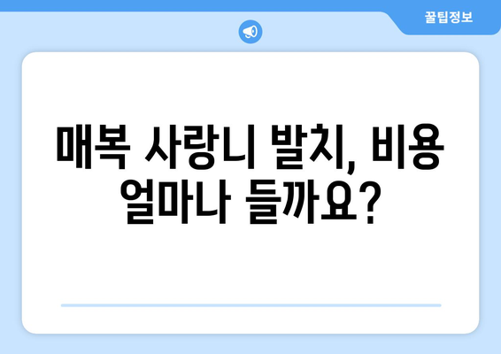 전라남도 순천시 상사면 사랑니 치과 매복 발치 잘하는 곳 비용 | 후기 | 추천