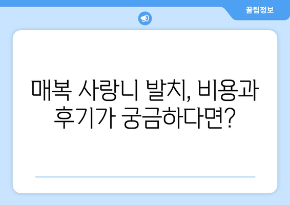 인천시 강화군 교동면 사랑니 치과 매복 발치 잘하는 곳 비용 | 후기 | 추천