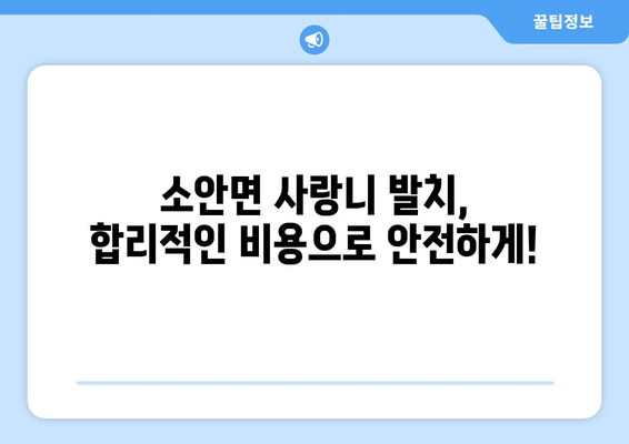 전라남도 완도군 소안면 사랑니 치과 매복 발치 잘하는 곳 비용 | 후기 | 추천