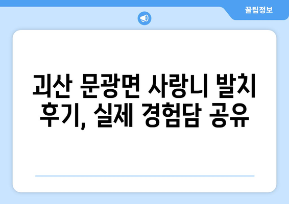 충청북도 괴산군 문광면 사랑니 치과 매복 발치 잘하는 곳 비용 | 후기 | 추천