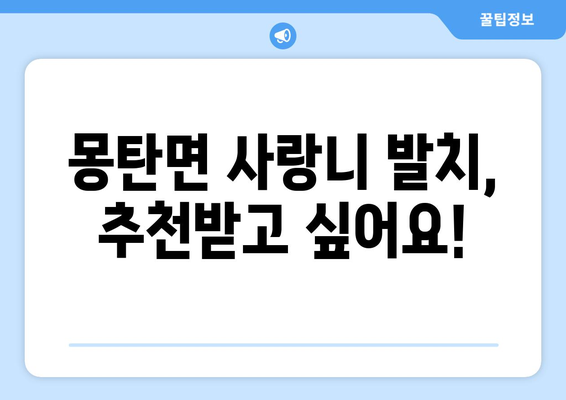 전라남도 무안군 몽탄면 사랑니 치과 매복 발치 잘하는 곳 비용 | 후기 | 추천