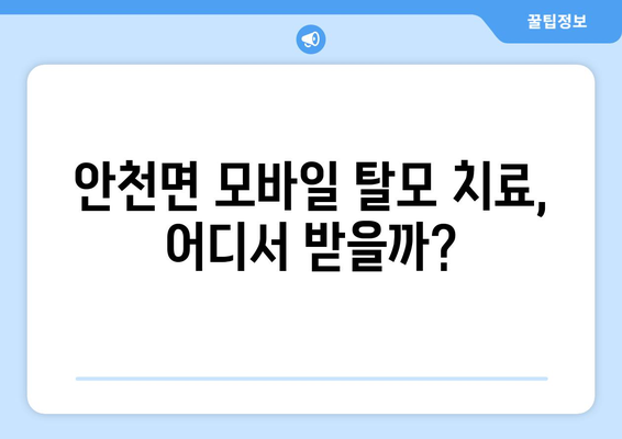 전라북도 진안군 안천면 모바일식 탈모치료 잘하는곳 두피관리 추천 베스트 헤어라인 정수리 비용 후기