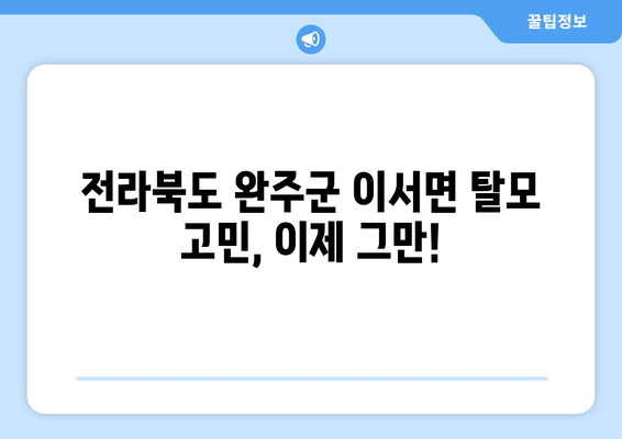 전라북도 완주군 이서면 모바일식 탈모치료 잘하는곳 두피관리 추천 베스트 헤어라인 정수리 비용 후기
