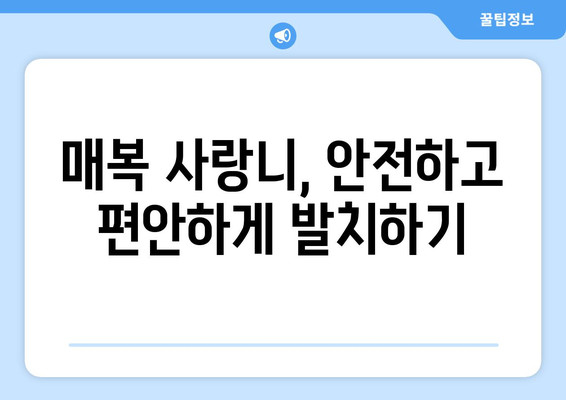 인천시 미추홀구 용현1·4동 사랑니 치과 매복 발치 잘하는 곳 비용 | 후기 | 추천