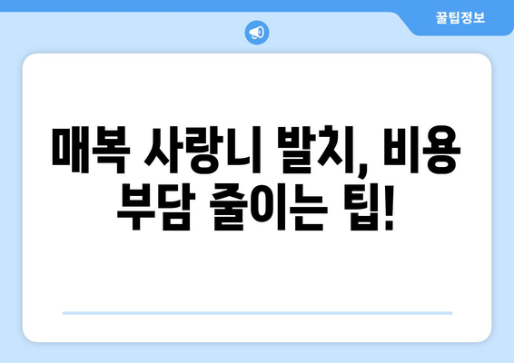 강원도 태백시 구문소동 사랑니 치과 매복 발치 잘하는 곳 비용 | 후기 | 추천