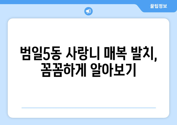 부산시 동구 범일5동 사랑니 치과 매복 발치 잘하는 곳 비용 | 후기 | 추천