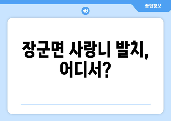 세종시 세종특별자치시 장군면 사랑니 치과 매복 발치 잘하는 곳 비용 | 후기 | 추천