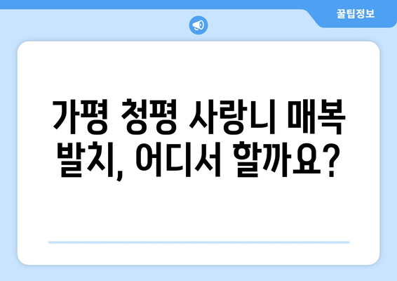 경기도 가평군 청평면 사랑니 치과 매복 발치 잘하는 곳 비용 | 후기 | 추천