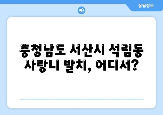 충청남도 서산시 석림동 사랑니 치과 매복 발치 잘하는 곳 비용 | 후기 | 추천