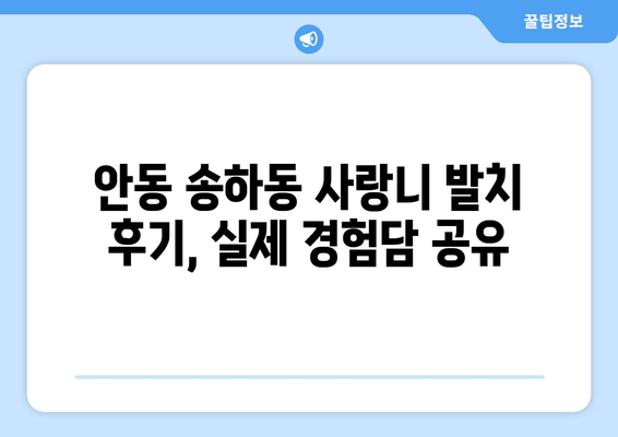 경상북도 안동시 송하동 사랑니 치과 매복 발치 잘하는 곳 비용 | 후기 | 추천