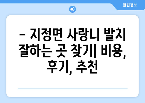 강원도 원주시 지정면 사랑니 치과 매복 발치 잘하는 곳 비용 | 후기 | 추천