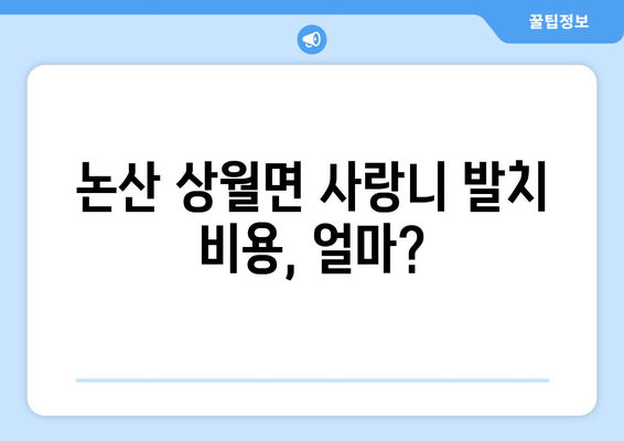 충청남도 논산시 상월면 사랑니 치과 매복 발치 잘하는 곳 비용 | 후기 | 추천