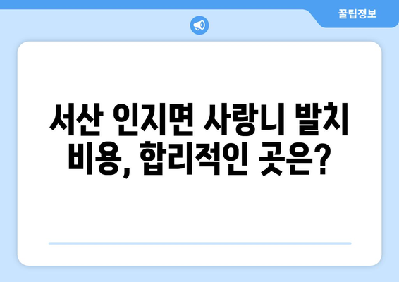충청남도 서산시 인지면 사랑니 치과 매복 발치 잘하는 곳 비용 | 후기 | 추천
