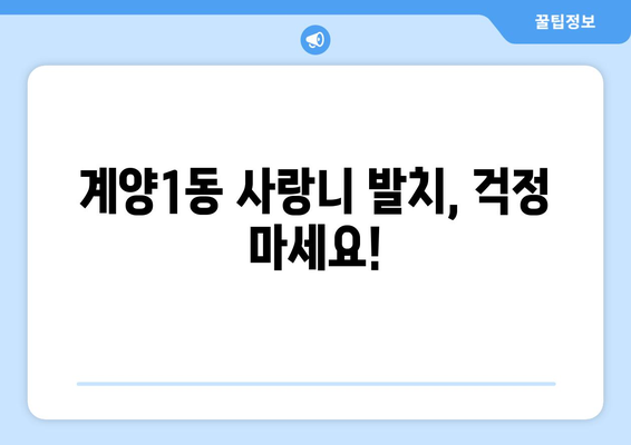 인천시 계양구 계양1동 사랑니 치과 매복 발치 잘하는 곳 비용 | 후기 | 추천