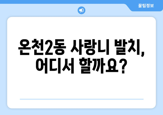 대전시 유성구 온천2동 사랑니 치과 매복 발치 잘하는 곳 비용 | 후기 | 추천