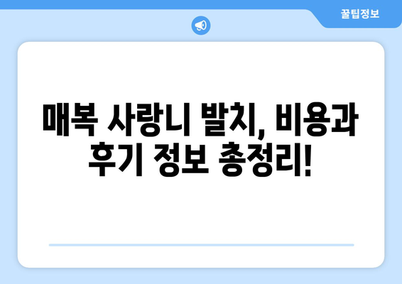 경상북도 영양군 입암면 사랑니 치과 매복 발치 잘하는 곳 비용 | 후기 | 추천