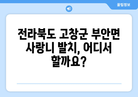 전라북도 고창군 부안면 사랑니 치과 매복 발치 잘하는 곳 비용 | 후기 | 추천