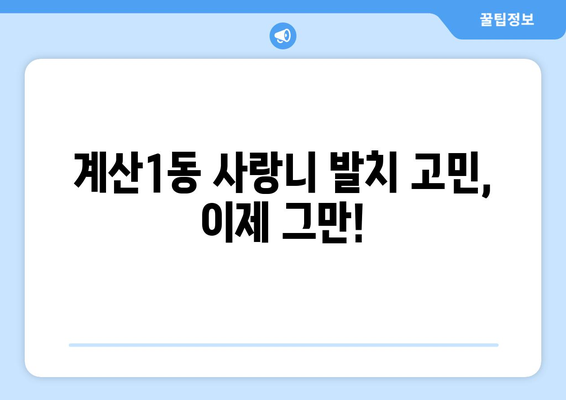 인천시 계양구 계산1동 사랑니 치과 매복 발치 잘하는 곳 비용 | 후기 | 추천