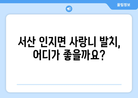 충청남도 서산시 인지면 사랑니 치과 매복 발치 잘하는 곳 비용 | 후기 | 추천