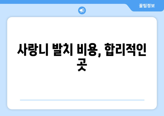 대구시 중구 성내3동 사랑니 치과 매복 발치 잘하는 곳 비용 | 후기 | 추천